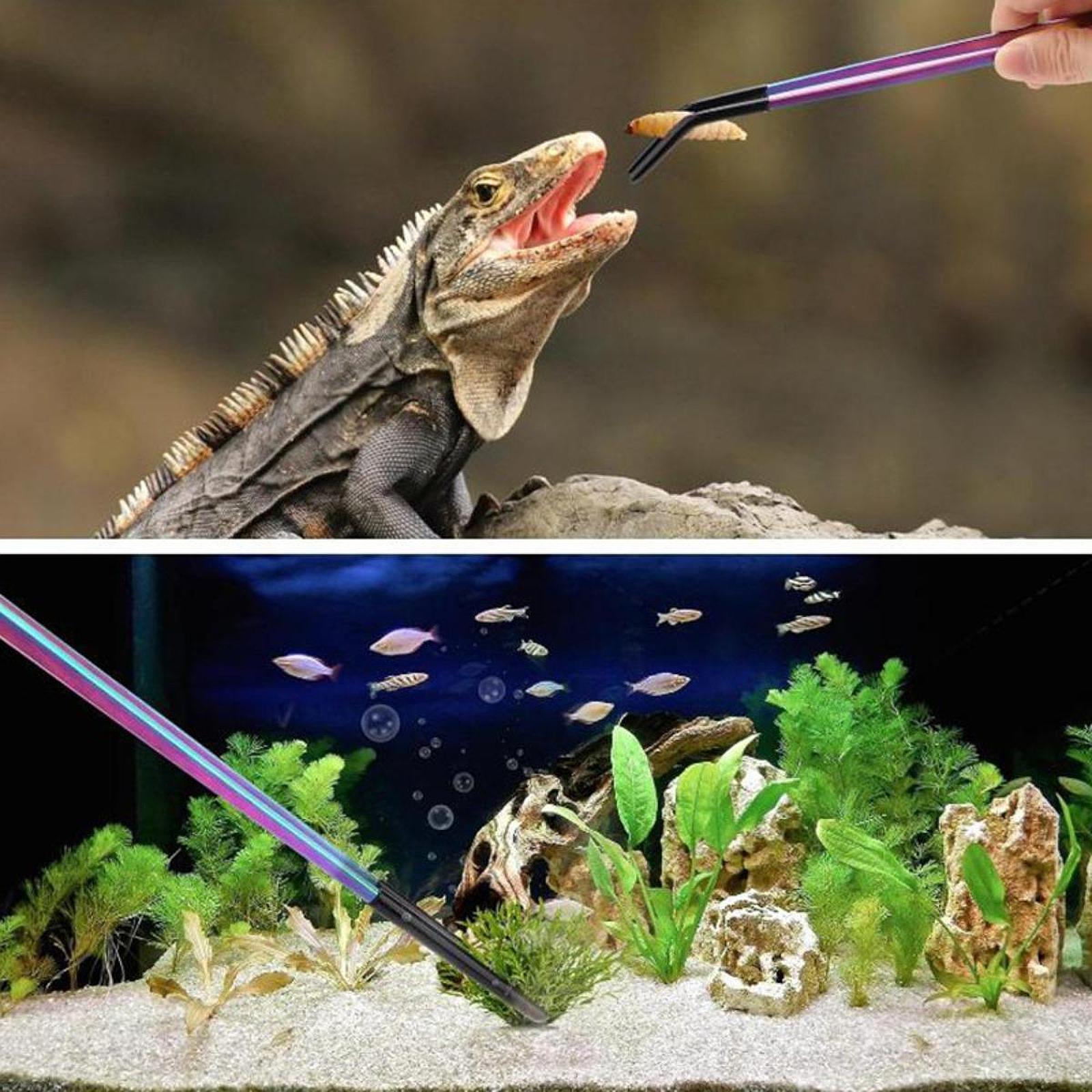Reptilien-Fütterungszange mit  – Feeding Tong Stainless Bewertung und Preis