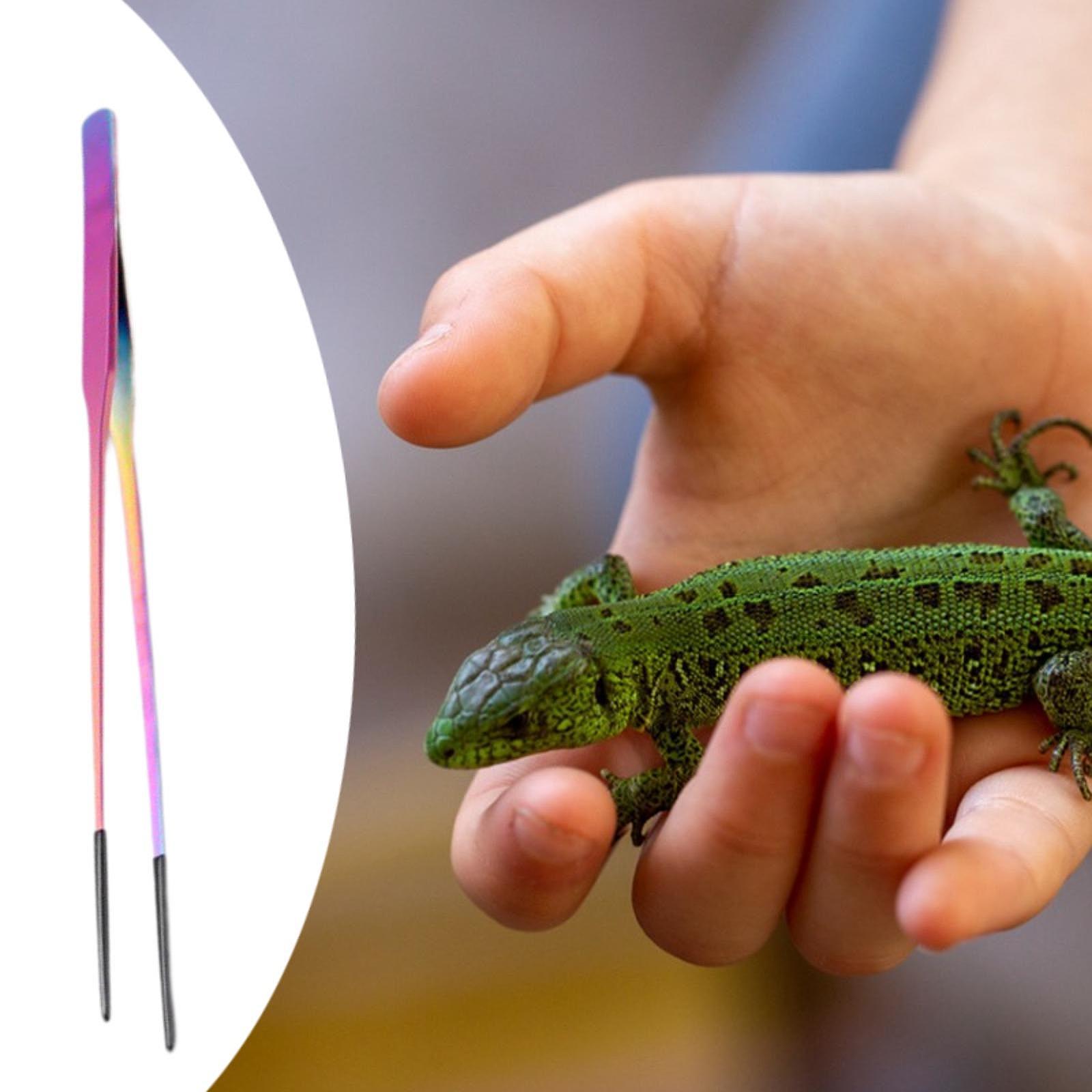 Reptilien-Fütterungszange mit  – Feeding Tong Stainless Bewertung und Preis
