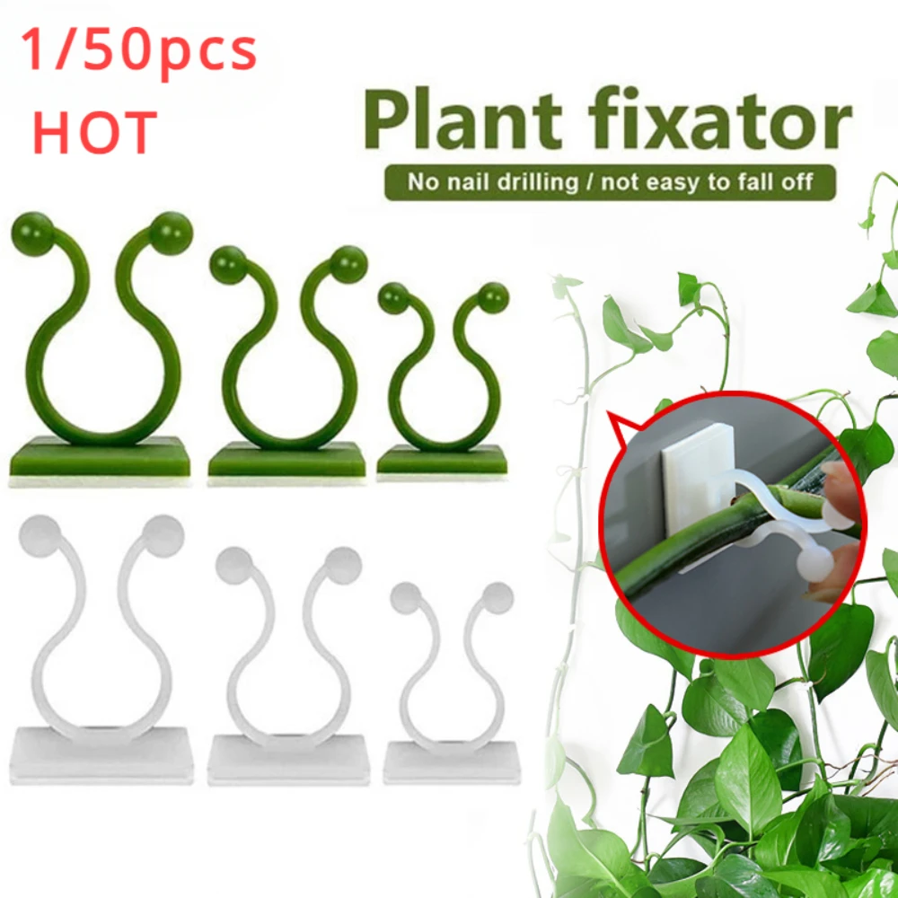 1/30/50 Stück für Gartenzubehö – Vine Climbing Plastic Bewertung und Preis