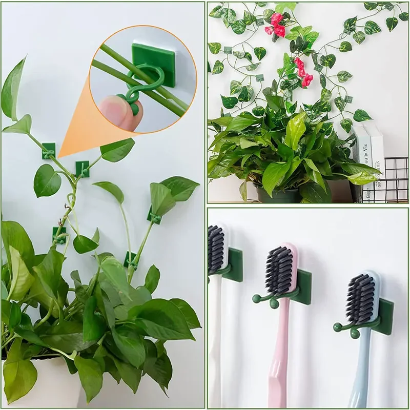 1/30/50 Stück für Gartenzubehö – Vine Climbing Plastic Bewertung und Preis