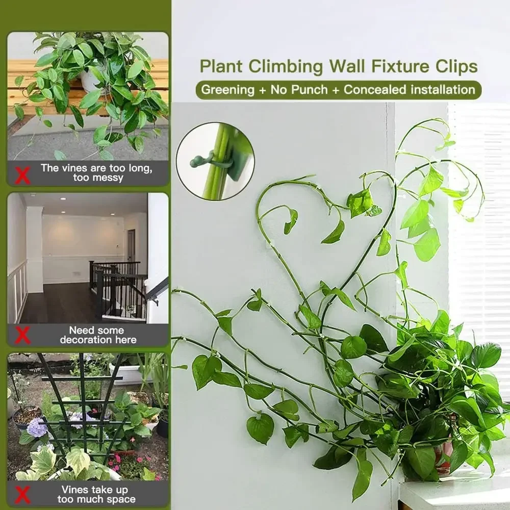 1/30/50 Stück für Gartenzubehö – Vine Climbing Plastic Bewertung und Preis