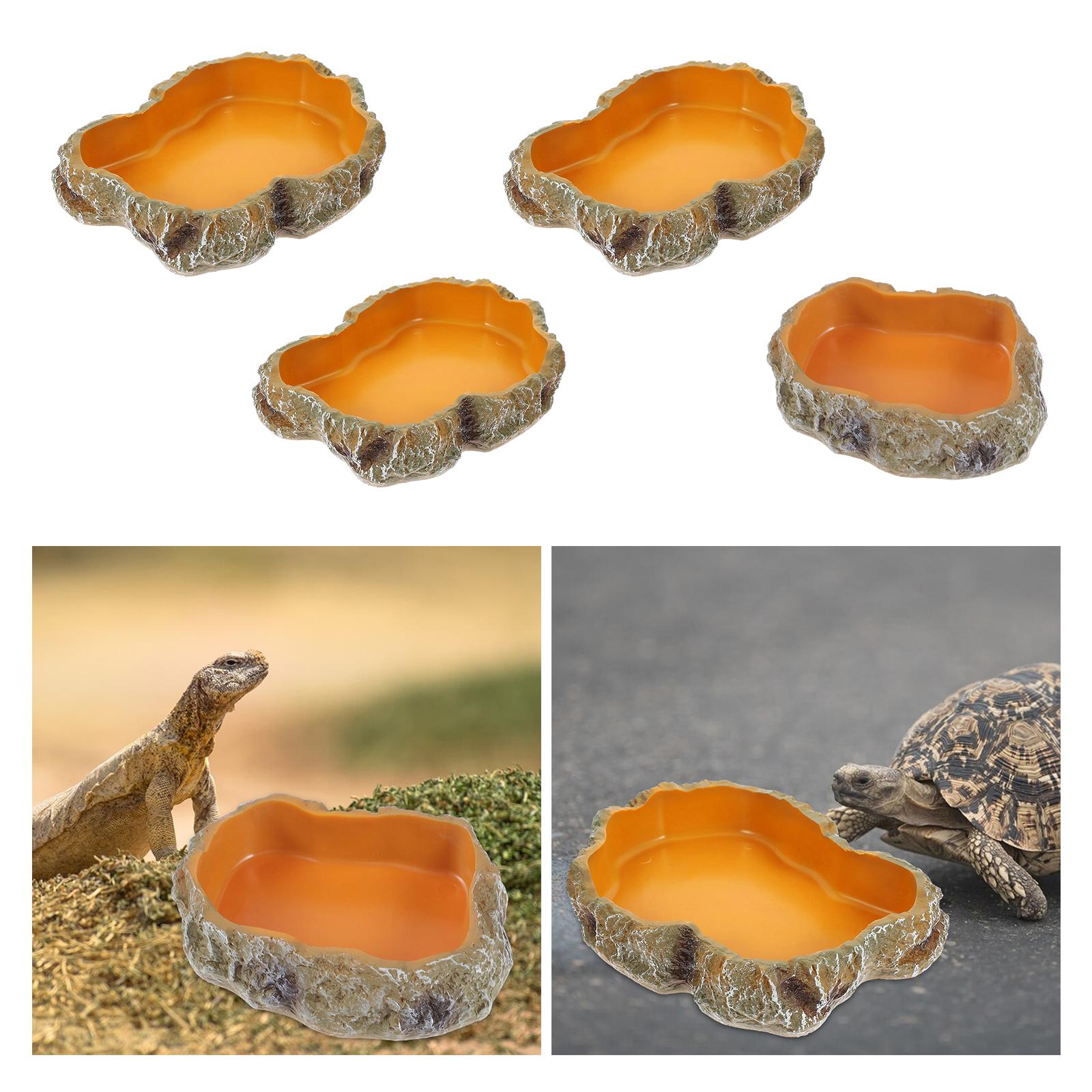 Reptilien-Wasserschalen, dekor – Water Dish Reptile Bewertung und Preis