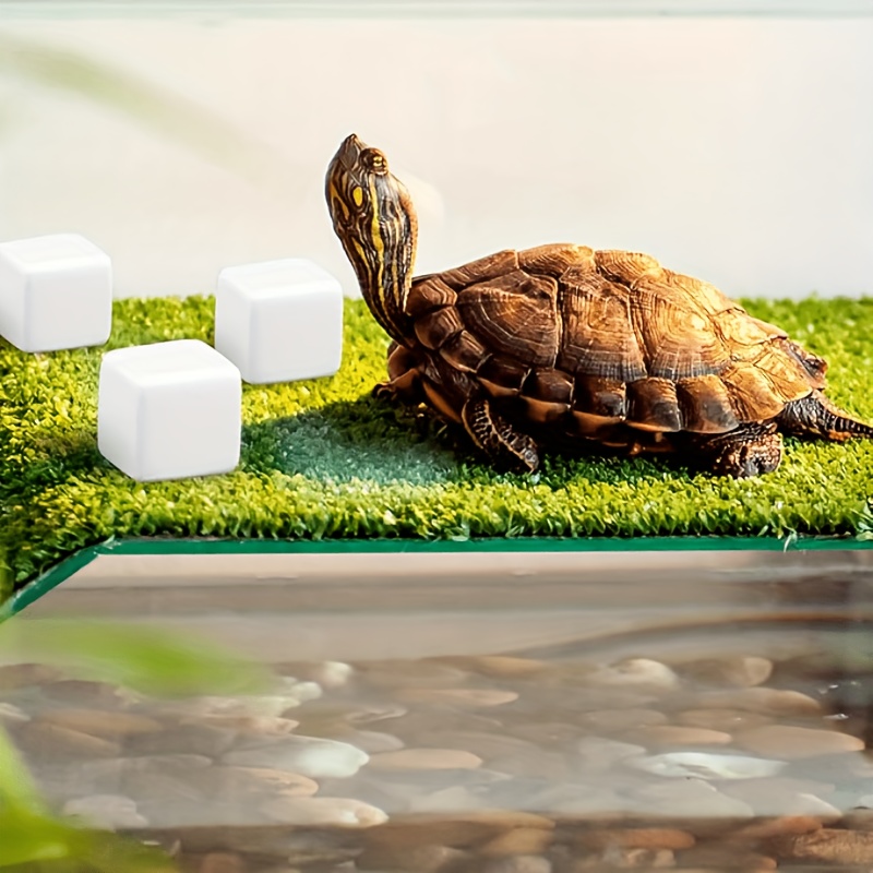 6 Stück Aquarium-Kalziumblock- – Calcium Powder Reptile Bewertung und Preis