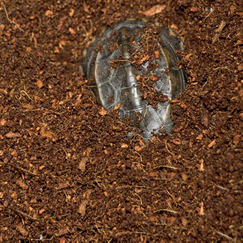 WAJABABY Gebrauchsfertiger Kok – Substrate Coconut Fiber Bewertung und Preis