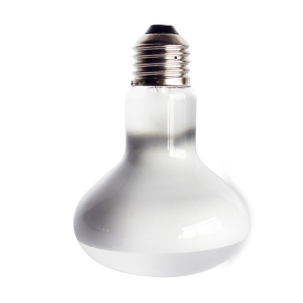 Eidechsen-Heizstrahler mit Tem – Basking Bulb Halogen Bewertung und Preis
