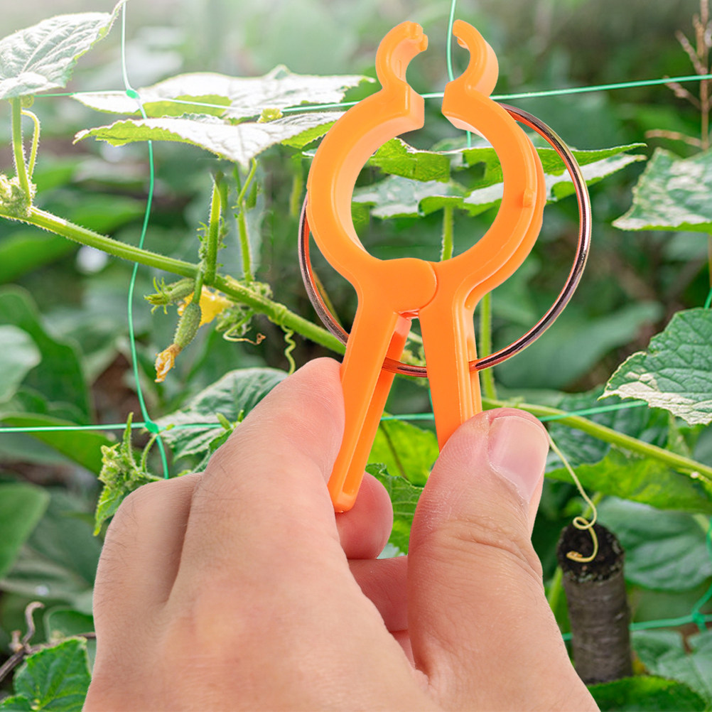 10 Stück Pflanzenbefestigungsk – Vine Climbing Plastic Bewertung und Preis