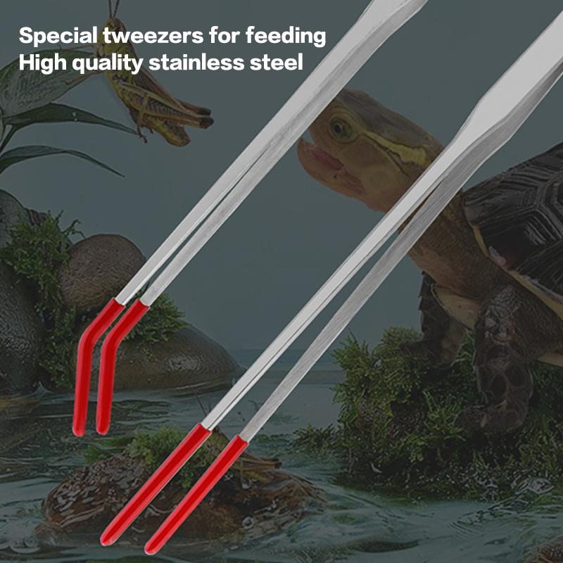 Reptilien-Fütterungszange aus  – Feeding Tong Stainless Bewertung und Preis