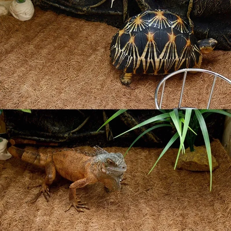 Reptilien-Teppich aus Natürlic – Substrate Coconut Fiber Bewertung und Preis