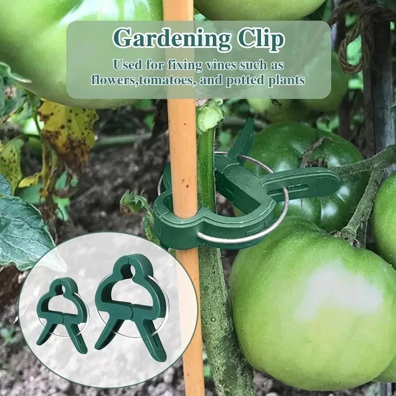 50 wiederverwendbare Pflanzenb – Vine Climbing Plastic Bewertung und Preis