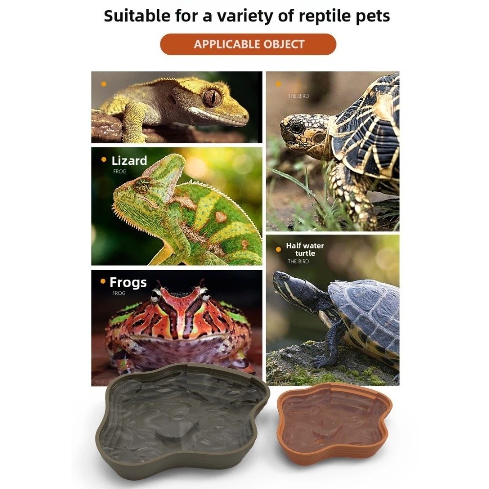 Neues Schildkröten-Wasserbecke – Water Dish Reptile Bewertung und Preis