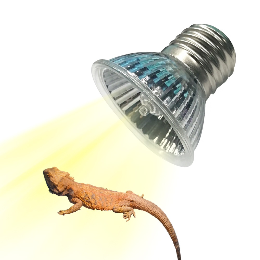 25W/75W/100W Vollspektrum UVAU – Calcium Powder Reptile Bewertung und Preis