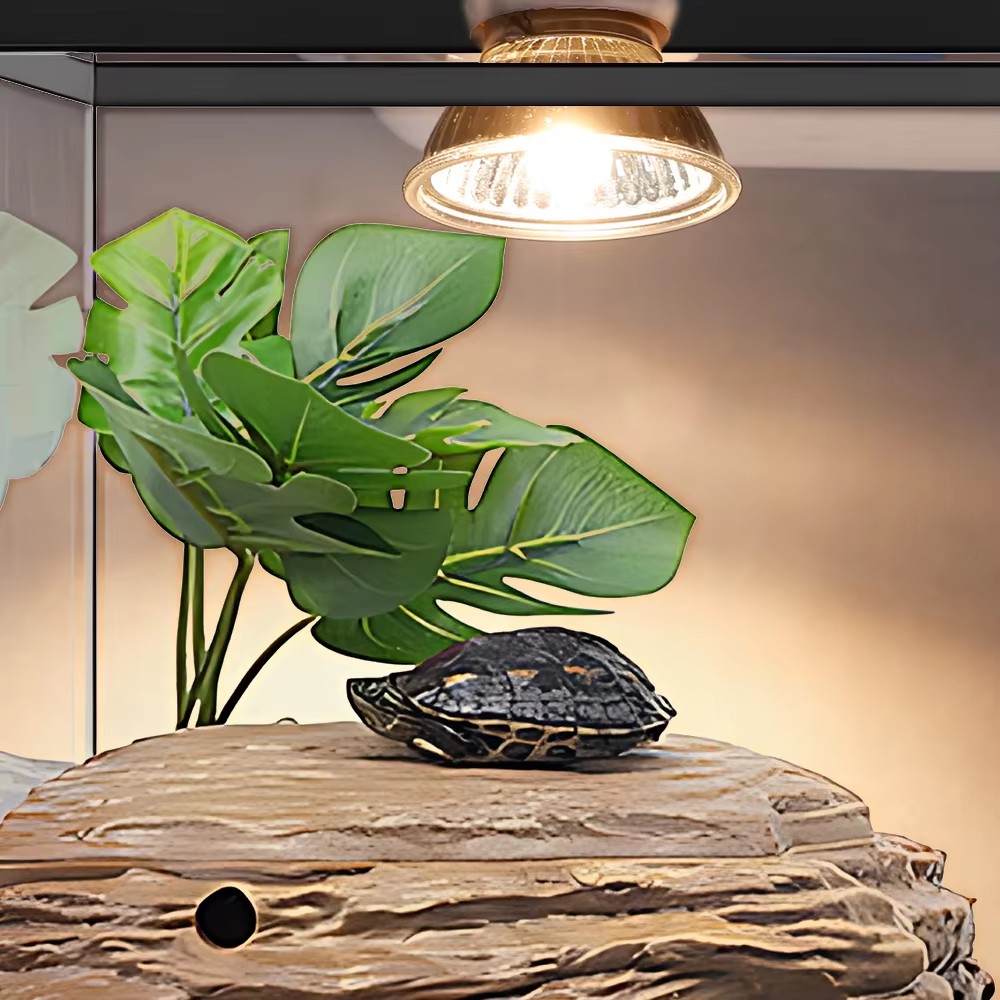 25W/75W/100W Vollspektrum UVAU – Calcium Powder Reptile Bewertung und Preis