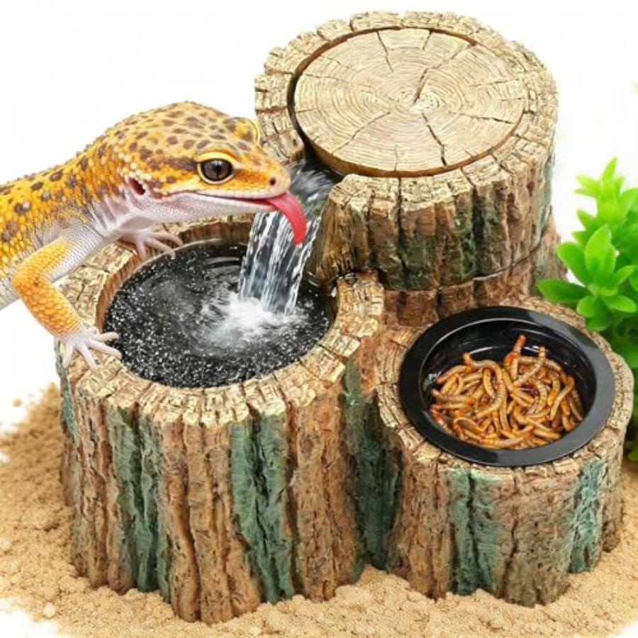 2-in-1 Reptilien-Trinkbrunnen  – Water Dish Reptile Bewertung und Preis