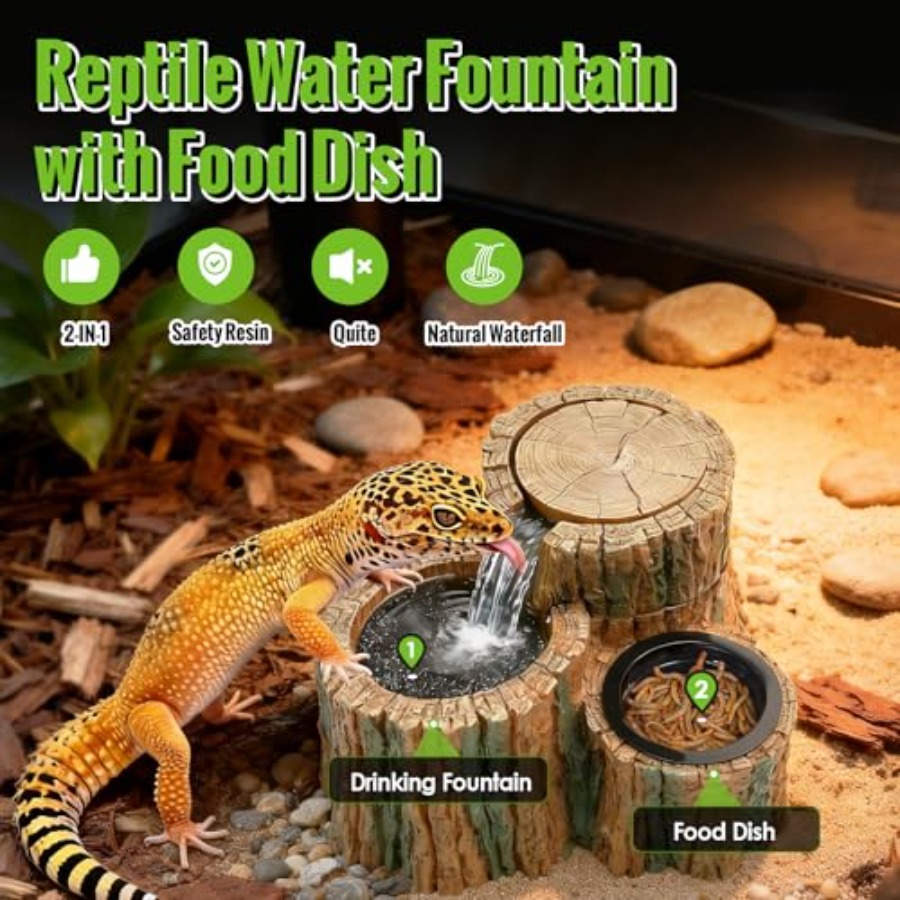 2-in-1 Reptilien-Trinkbrunnen  – Water Dish Reptile Bewertung und Preis