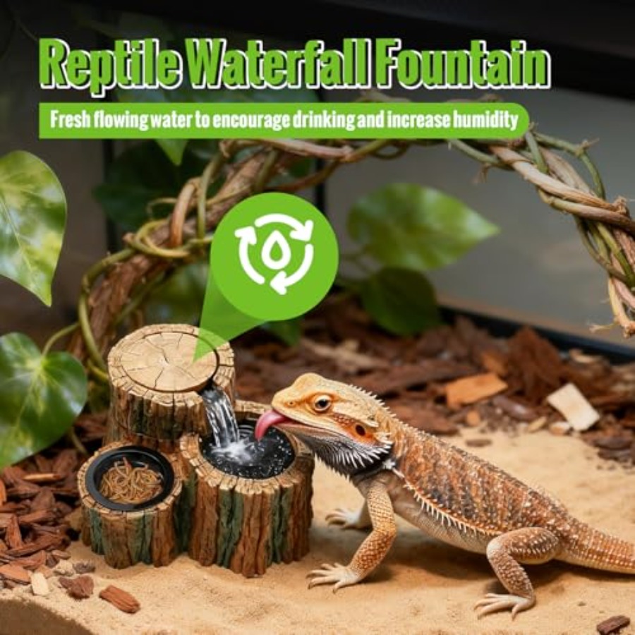 2-in-1 Reptilien-Trinkbrunnen  – Water Dish Reptile Bewertung und Preis