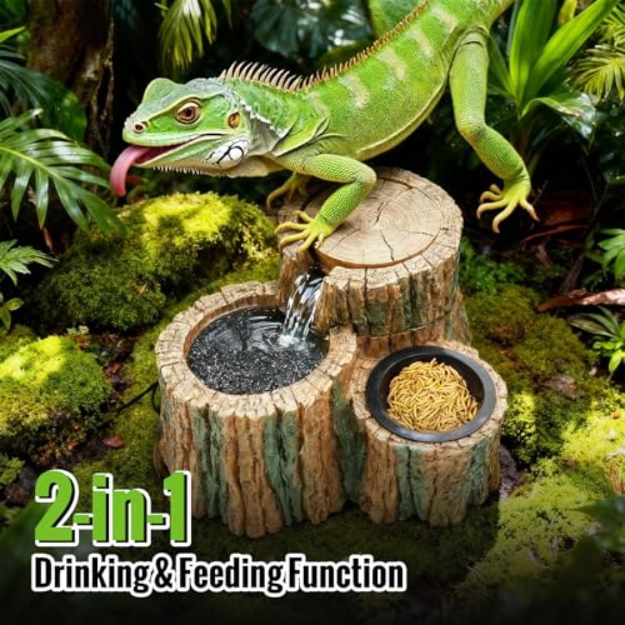 2-in-1 Reptilien-Trinkbrunnen  – Water Dish Reptile Bewertung und Preis