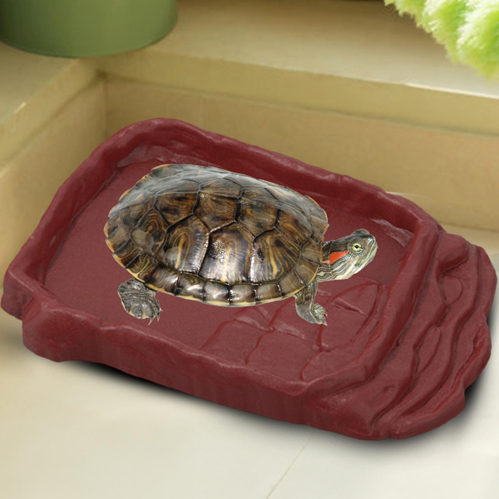 Schildkröten-Badewanne Wassers – Water Dish Reptile Bewertung und Preis