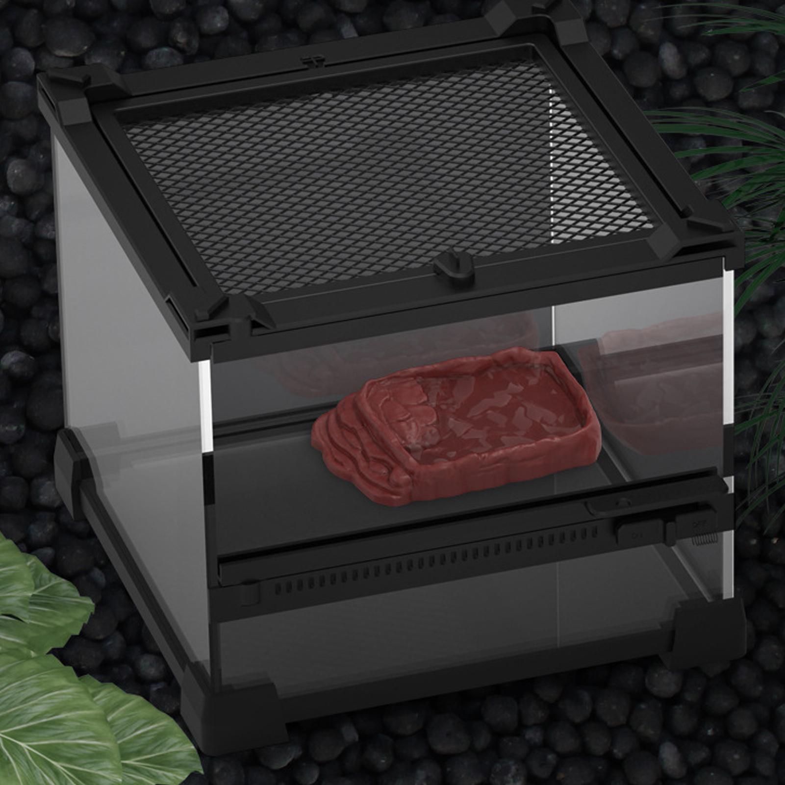 Schildkröten-Badewanne Wassers – Water Dish Reptile Bewertung und Preis