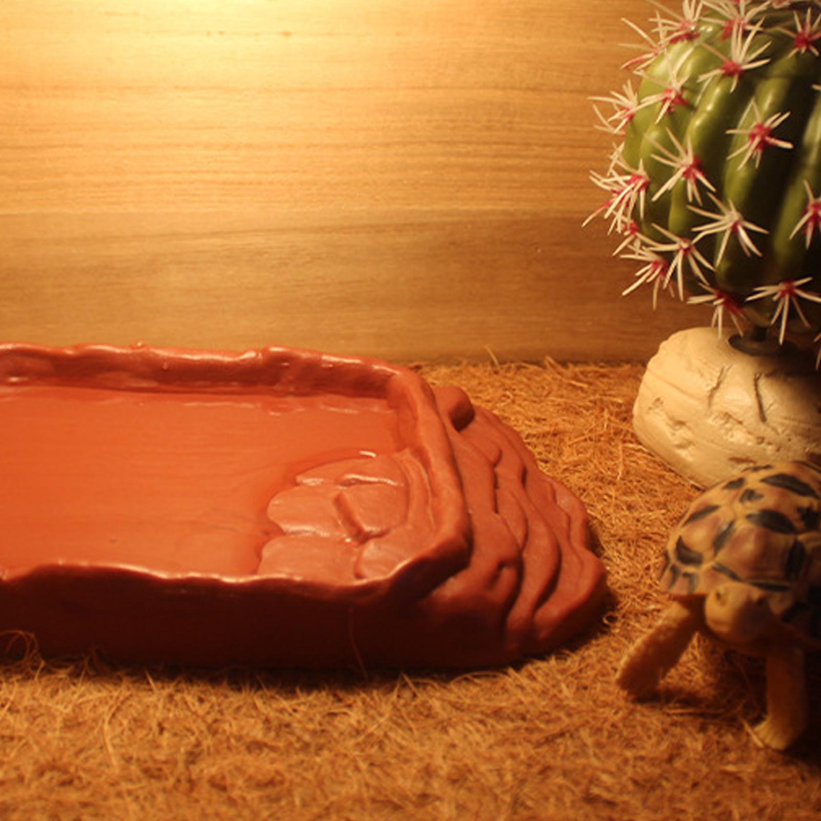 Schildkröten-Badewanne Wassers – Water Dish Reptile Bewertung und Preis