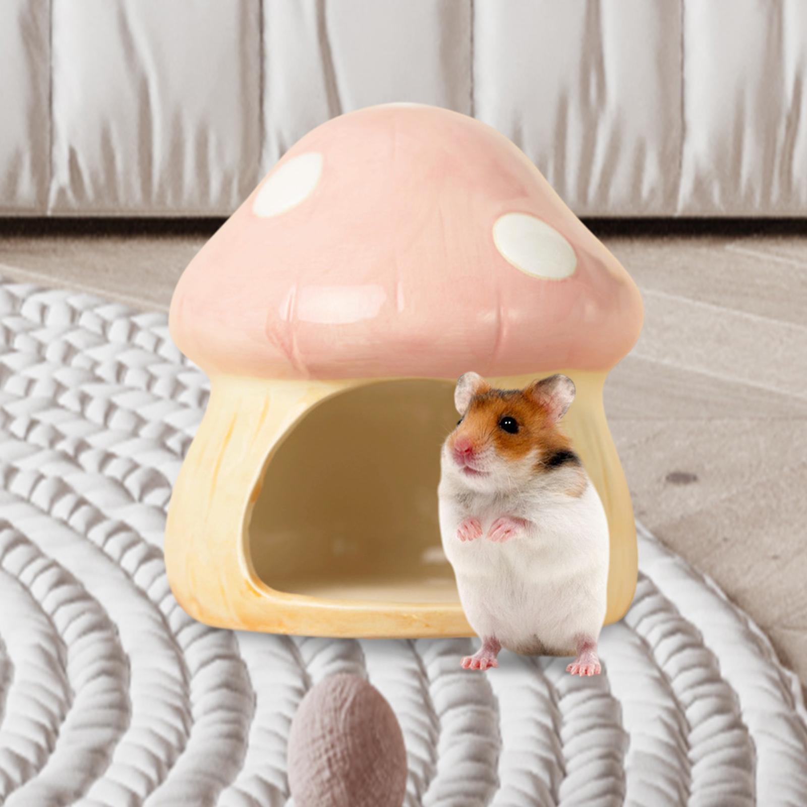 Keramik Pilz Hamster Versteck  – Hide Cave Ceramic Bewertung und Preis