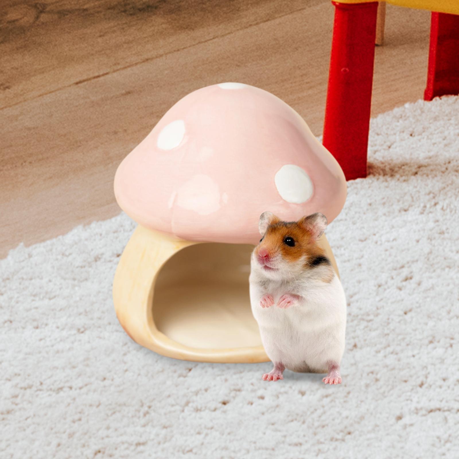 Keramik Pilz Hamster Versteck  – Hide Cave Ceramic Bewertung und Preis