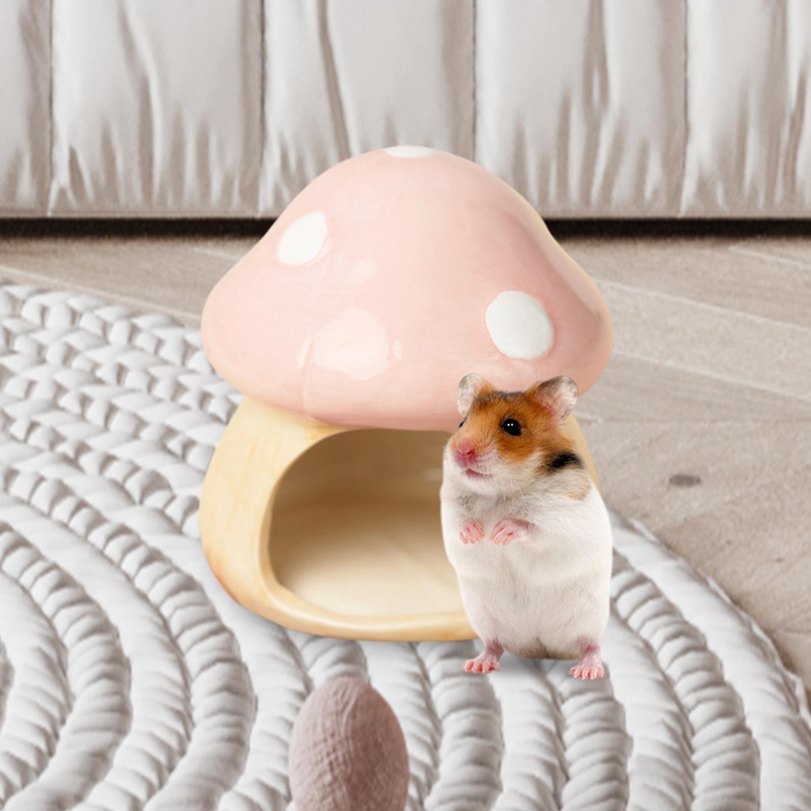 Keramik Pilz Hamster Versteck  – Hide Cave Ceramic Bewertung und Preis