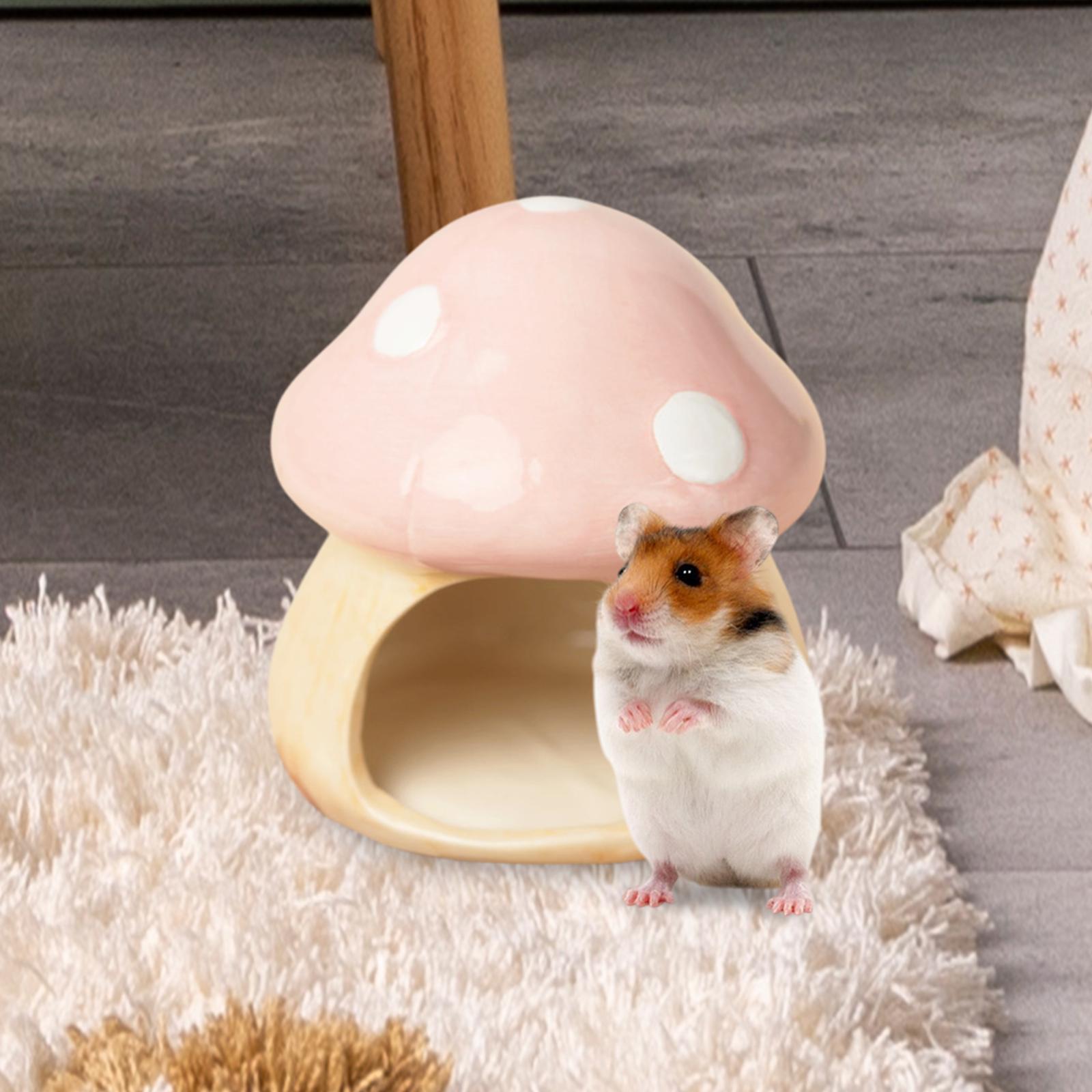 Keramik Pilz Hamster Versteck  – Hide Cave Ceramic Bewertung und Preis