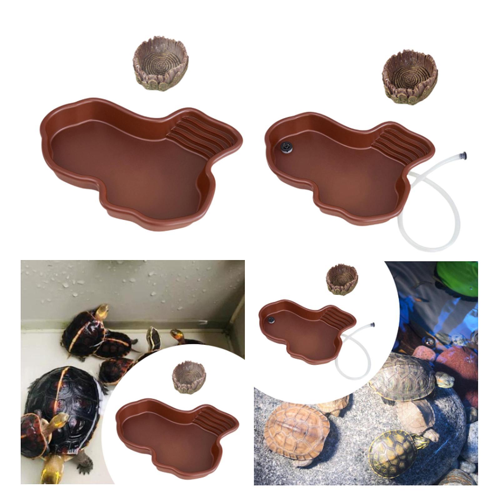 Reptilien-Futternapf für Repti – Water Dish Reptile Bewertung und Preis
