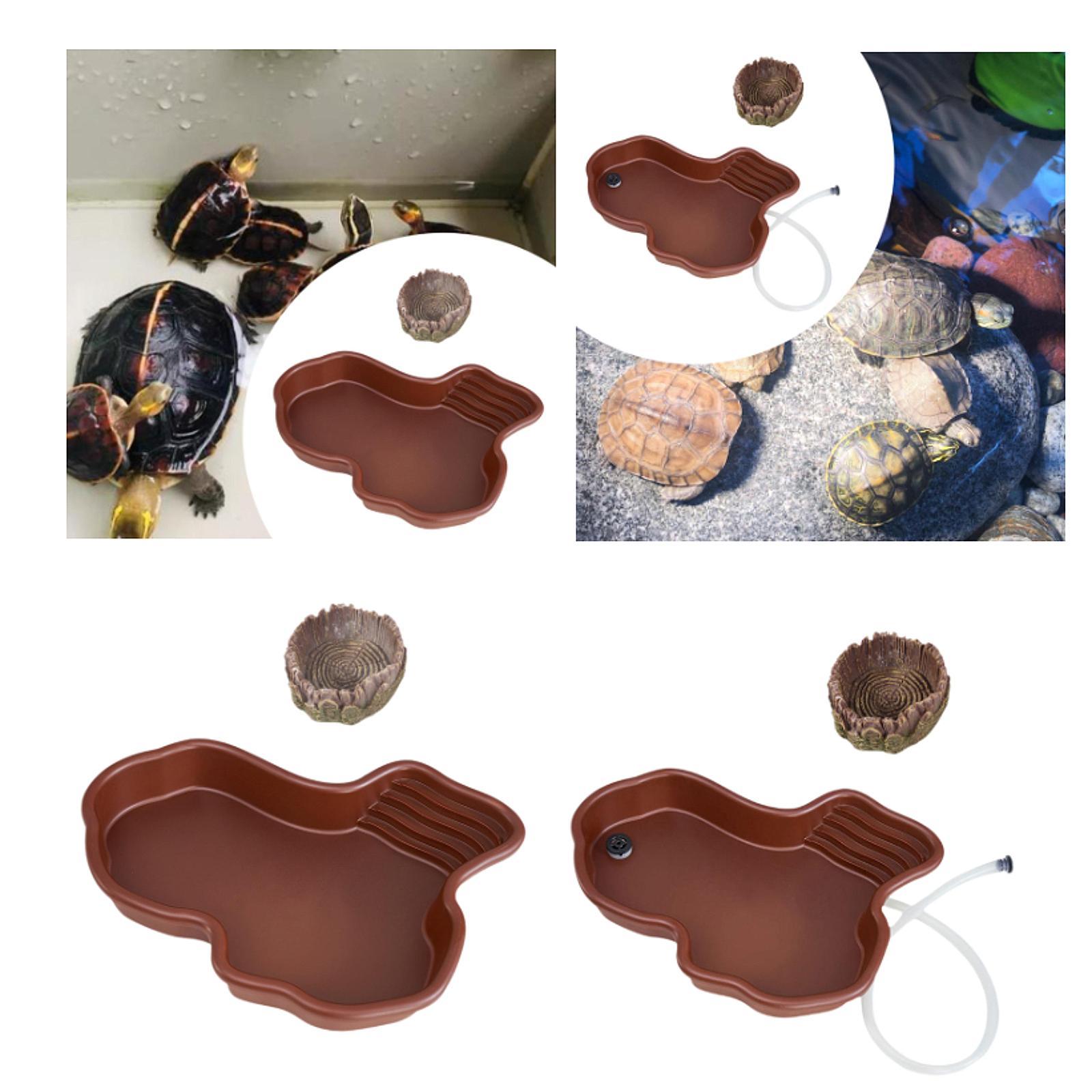 Reptilien-Futternapf für Repti – Water Dish Reptile Bewertung und Preis